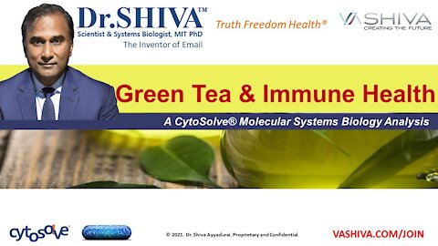 5 Ways How Green Tea Affects the Immune System