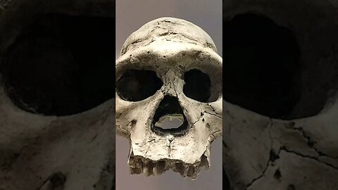 Dmanisi İnsanlarıyla Homo erectus'un Ayak İzlerini Sürün #shorts