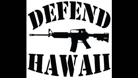 Hawaii Free Speech News Origins (2nd Amendment Rally) (Feb 14, 2021)