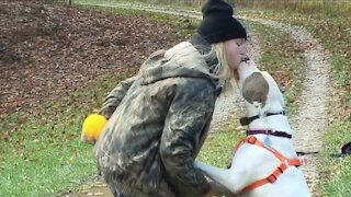 Therapy dog missing after rollover crash in Akron found safe, reunited with owner