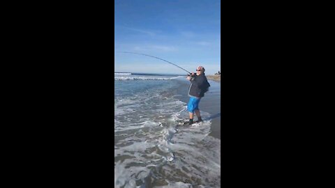 Surf fishing for Sand Bass