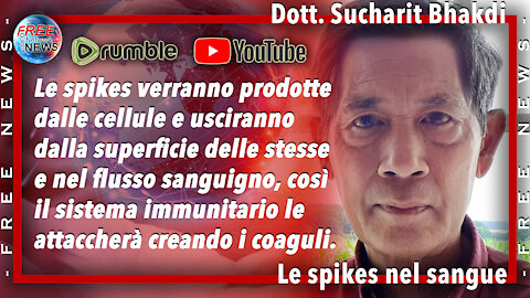 Dott. Sucharit Bhakdi: effetto della proteina spike nel sangue.