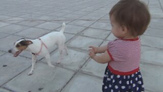 Kid has full on glee with a small dog