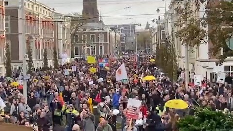 Massive Anti Lockdown Protest in Holland