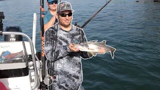 Our First Snook!!! Feat. Bluegabe!!!!