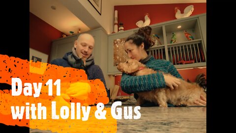 Happy Doggy Sitting Lolly & Gus Day 11