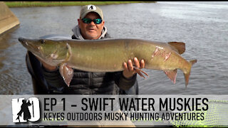 Swift Water Muskies - Keyes Outdoors Musky Hunting Adventures