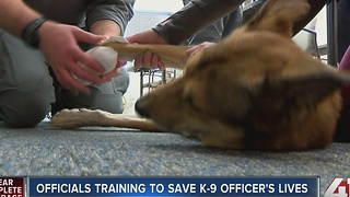 Official training to save K-9 officerâs lives