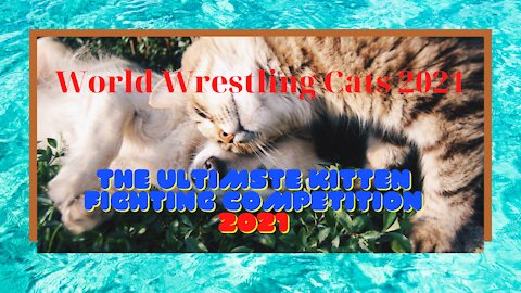 World Wrestling Cats 2021