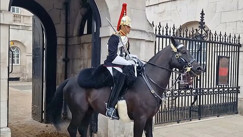 Guard shows gòod control with restless horse #horseguardsparade