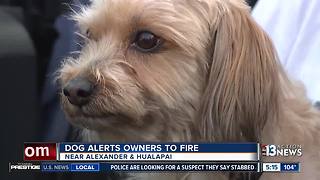 Dog saves Las Vegas family from fire