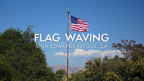 Peaceful American Flag Waving with Soothing Nature Sounds