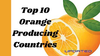 Top Orange Producing Countries. Top10🍊