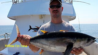 Tuna Fishing on the Atlantic Ocean near New Jersey