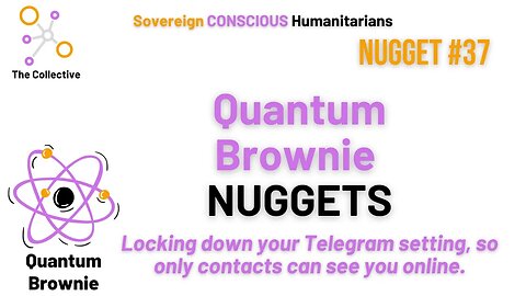 Quantum Brownie Nugget #37 - Locking down your Telegram setting, so only contacts can see you online