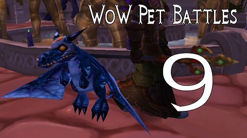 World of Warcraft Pet Battles 9 - Master Pet Trainers