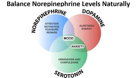 How to Balance Norepinephrine