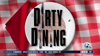 Dirty Dining: Live, dead roaches found at West Palm Beach Mexican restaurant
