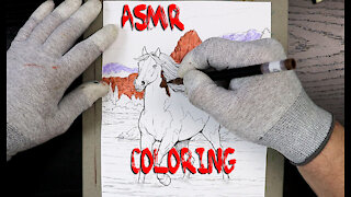ASMR Coloring Animals-Beautiful Stallion