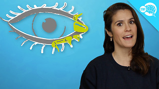 BrainStuff: What Are Eye Boogers?