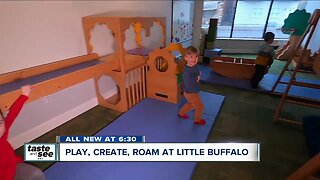 Play, create, and roam at Little Buffalo on Hertel Avenue