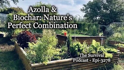 Azolla & Biochar: Nature's Perfect Combination - Epi-3278