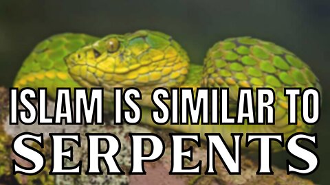 Muslims Are Similar To Serpents