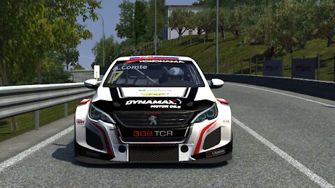 Peugeot / Tino / Assetto Corsa / ProtosimRacing