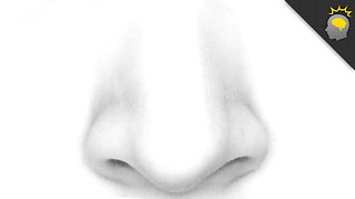 Stuff to Blow Your Mind: What Your Nose Can Tell You? - Epic Science