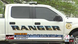 Clay County considers amending mushroom law