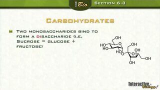 Life Substances - The Chemistry of life