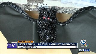 Boys and Girls Club reopens after bat infestation