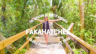 Fakahatchee Strand Preserve State Park, Florida