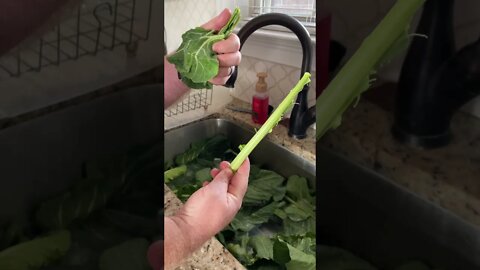 The Easiest Way to Remove Greens from The Stem