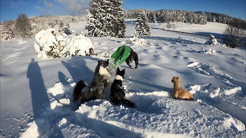 Diving into the snow be like