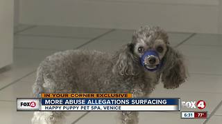 Another dog abuse claim towards local groomer