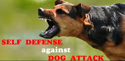 How to Defend against Dog Attack - Self Defence