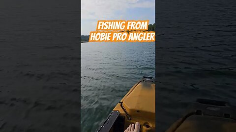 Hobie Pro Angler in action. #shorts #hobie #hobiefishing #kayakfishing #fishing #kayak #fishing