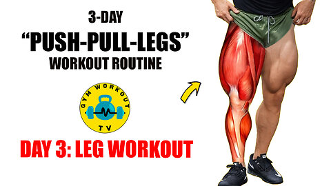 3-Day PPL Workout Routine. Day 3- Legs Workout