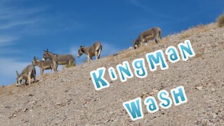 Kingman Wash, Arizona