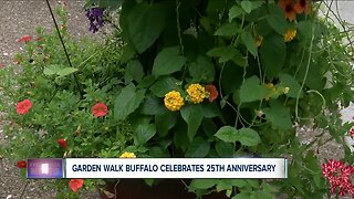 Garden Walk Buffalo celebrates its 25th anniversary, features 400 gardeners
