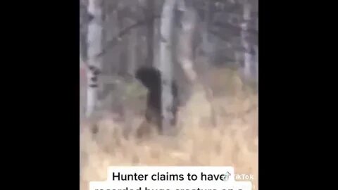 Hunter records Bigfoot while hunting- Nov. 2022