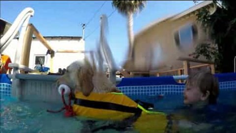 Un chien aide un petit garçon atteint d'autisme à dépasser sa peur de l'eau