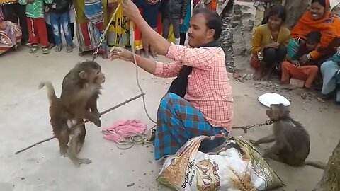 🐒Madari khel | monkey video🐒