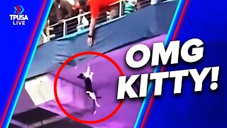 Stray Cat Falls From Upper Deck Into American Flag & LIVES!