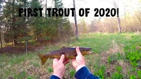 First Trout Of 2020