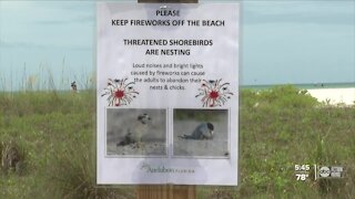 What fireworks does to local wildlife and beaches