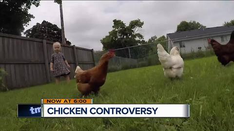 Sturtevant residents at odds over backyard chickens