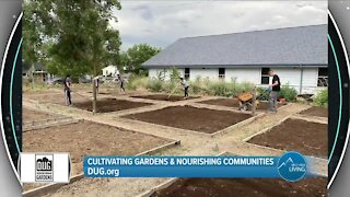 Cultivating Gardens & Nourishing Communities in Denver // DUG.org