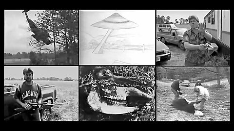 “A bloodless scene” ~ unmarked black helicopters, UFO sightings & the cattle mutilation mystery